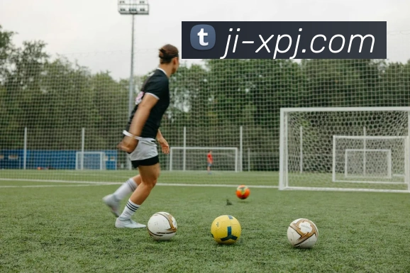 新葡京娱乐平台生态图